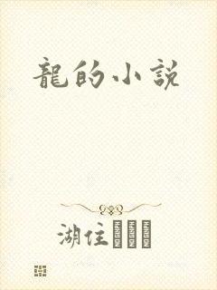 龙的小说
