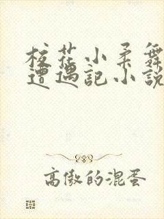 校花小柔舞蹈室遭遇记小说