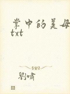 掌中的美母版主txt