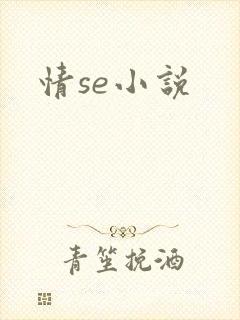 情se小说