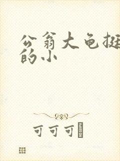 公翁大龟挺进我的小