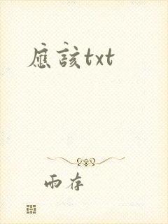 应该txt