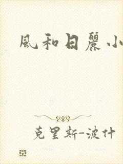 风和日丽小说