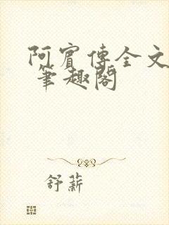 阿宾传全文阅读 笔趣阁
