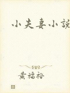 小夫妻小说