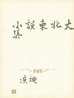 小说东北大炕全集