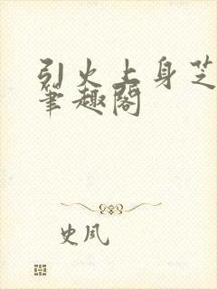 引火上身芝麻糖笔趣阁