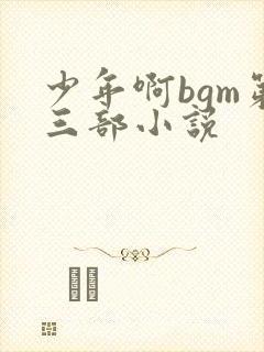 少年啊bgm第三部小说