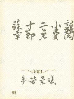 苏十二小说最新章节免费阅读全文