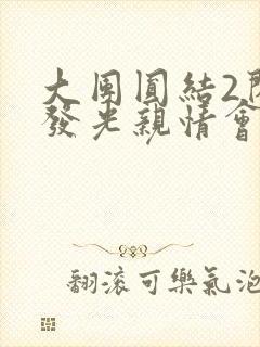 大团圆结2闪闪发光亲情会