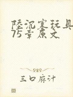 陆沉塞玩具高速75章原文