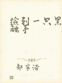 捡到一只黑心小触手