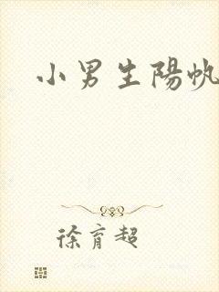 小男生阳帆封面