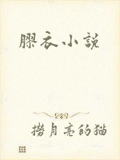 胶衣小说