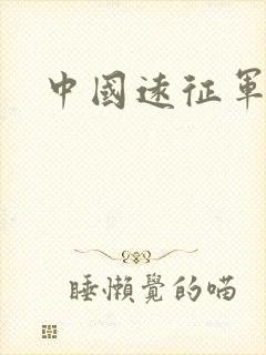 中国远征军小说