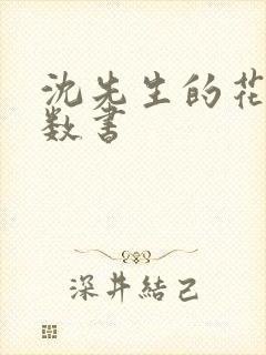 沈先生的花式调数书