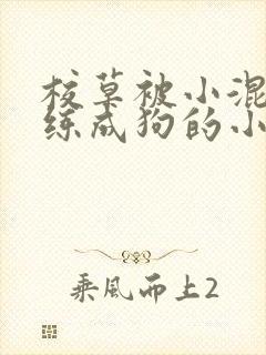 校草被小混混训练成狗的小说