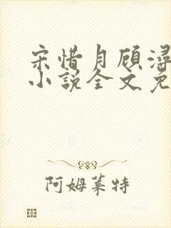 宋惜月顾浔渊的小说全文免费阅读