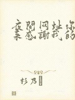 夜间网址你会回来感谢我的