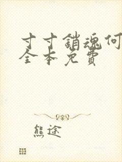 寸寸销魂何生祥全本免费