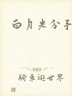 白月光分手日常