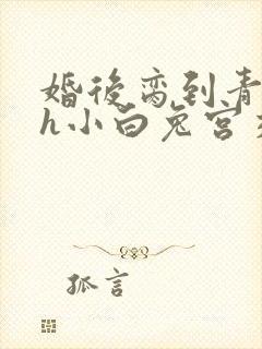 婚后脔到青梅哭h小白兔宫交h