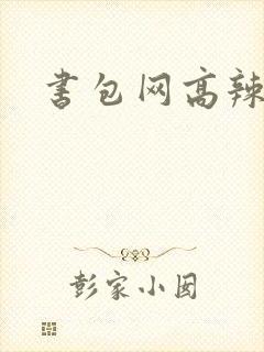 书包网高辣文