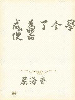 成为了全学校坐便器