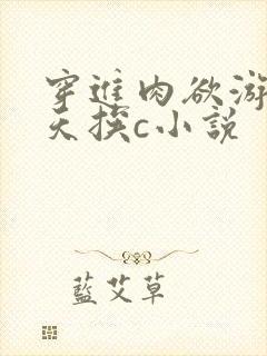 穿进肉欲游戏每天挨c小说