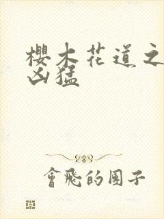 樱木花道之重生凶猛