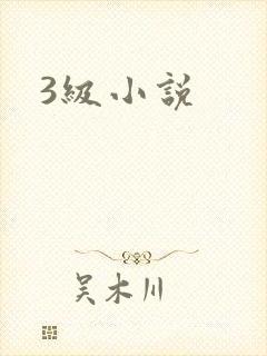 3级小说