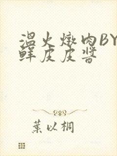 温火炖肉BY海鲜皮皮酱