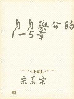 月月与公的激情1一5章