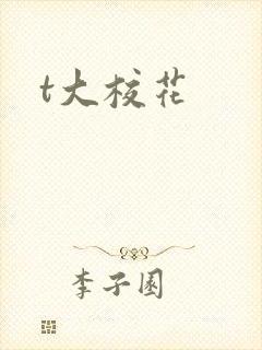 t大校花