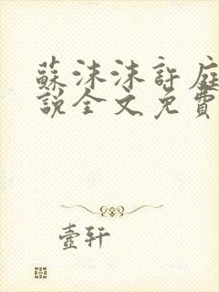 苏沫沫许庭川小说全文免费阅读