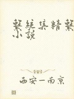 系统集精系统 小说