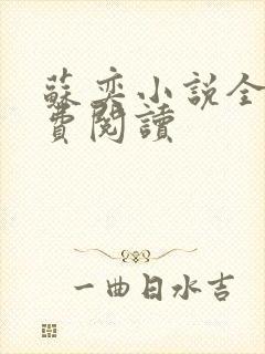 苏奕小说全文免费阅读