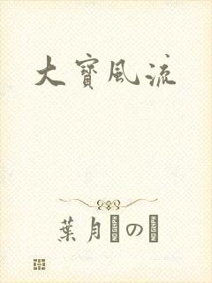 《大宝风流》小说封面