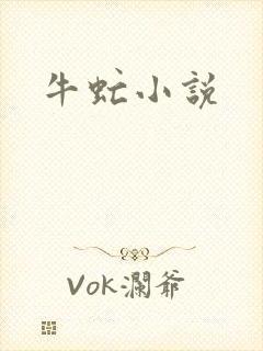 牛虻小说