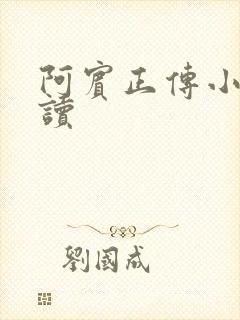 《阿宾正传小说在读》小说封面