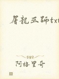 屠龙巫师txt