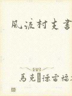 风流村支书封面