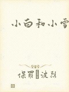 小白和小雪