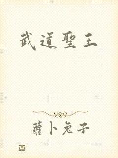 武道圣王