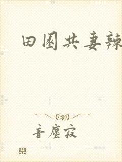 田园共妻辣