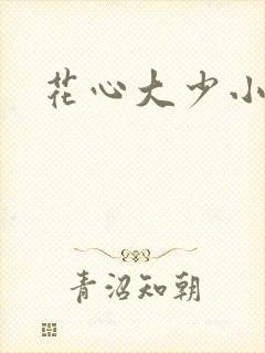 花心大少小说