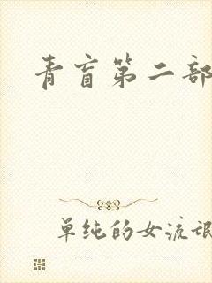 青盲第二部