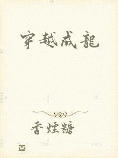 穿越成龙
