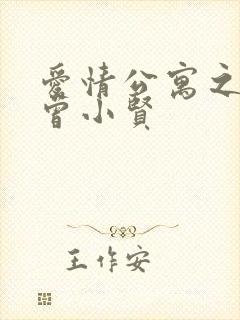 爱情公寓之极品曾小贤