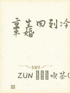 重生回到冷战前军婚